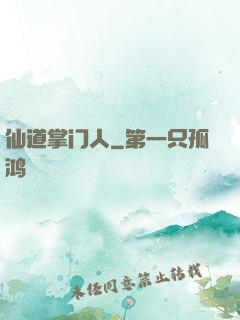 仙道掌门人