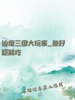 仙魔三国大玩家