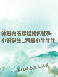 伸进内衣揉捏她的奶头小说学生