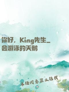 你好，King先生