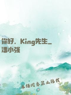 你好，King先生