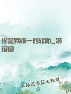 你是我唯一的软肋