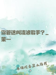 你管这叫流浪歌手？