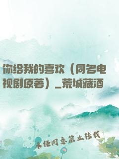 你给我的喜欢（同名电视剧原著）