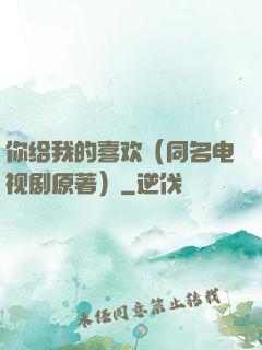 你给我的喜欢（同名电视剧原著）