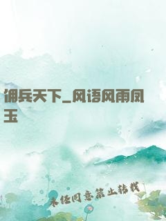 佣兵天下