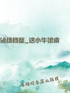 侦情档案
