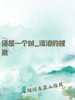 俺是一个贼