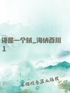 俺是一个贼