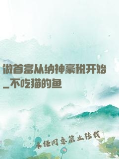做首富从纳神豪税开始