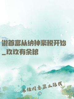 做首富从纳神豪税开始