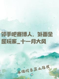 停手吧赛博人，外面全是玩家