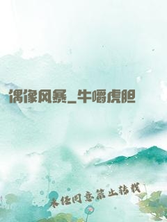偶像风暴