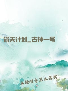偷天计划