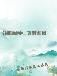 偷心圣手