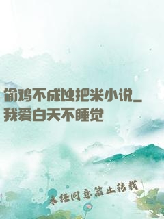 偷鸡不成蚀把米小说
