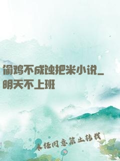 偷鸡不成蚀把米小说