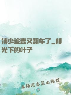 傅少追妻又翻车了