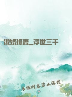 傲娇狐妻
