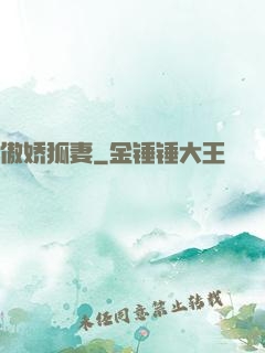 傲娇狐妻