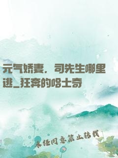 元气娇妻，司先生哪里逃
