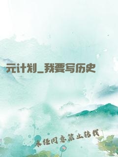 元计划
