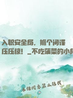 入职安全局，抓个间谍压压惊！