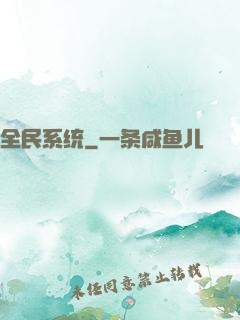 全民系统