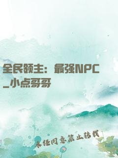 全民领主：最强NPC