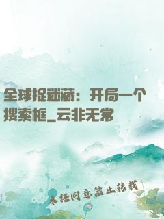 全球捉迷藏：开局一个搜索框