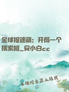 全球捉迷藏：开局一个搜索框
