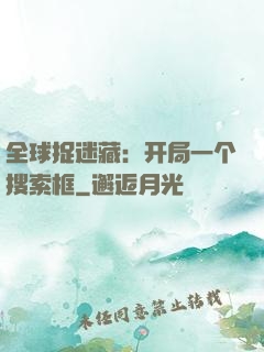 全球捉迷藏：开局一个搜索框