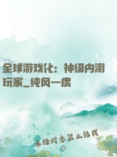 全球游戏化：神级内测玩家