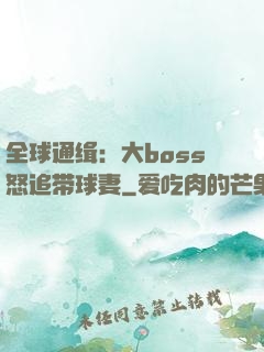 全球通缉：大boss怒追带球妻