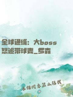 全球通缉：大boss怒追带球妻
