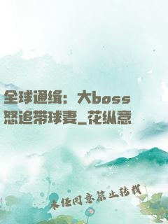 全球通缉：大boss怒追带球妻