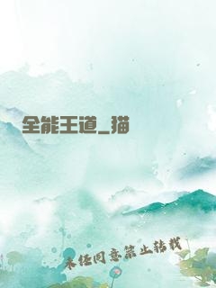 全能王道