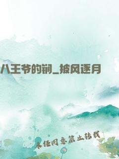 八王爷的锏