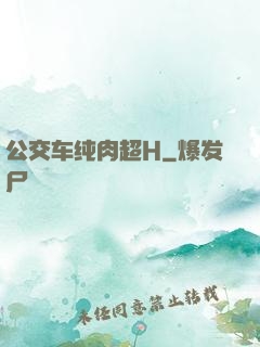 公交车纯肉超H