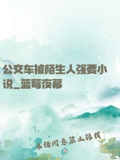 公交车被陌生人强要小说
