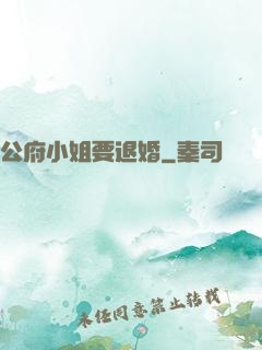 公府小姐要退婚