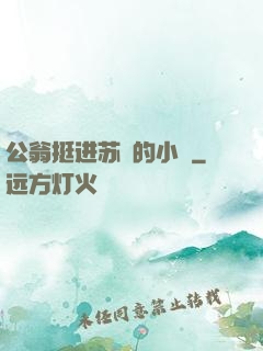 公翁挺进苏玥的小泬