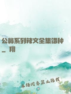 公翁系列辣文全集借种
