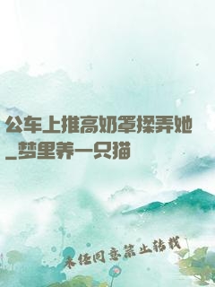公车上推高奶罩揉弄她
