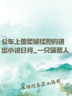 公车上雪柔被猛烈的进出小说日月