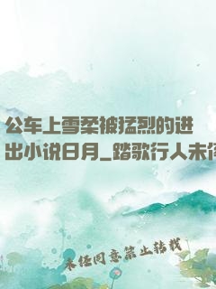 公车上雪柔被猛烈的进出小说日月