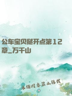 公车宝贝腿开点第12章