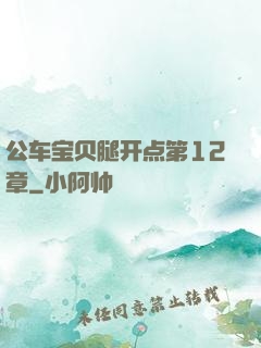公车宝贝腿开点第12章