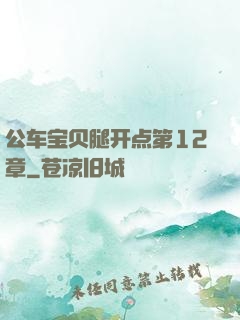 公车宝贝腿开点第12章