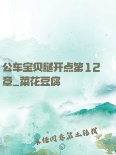 公车宝贝腿开点第12章